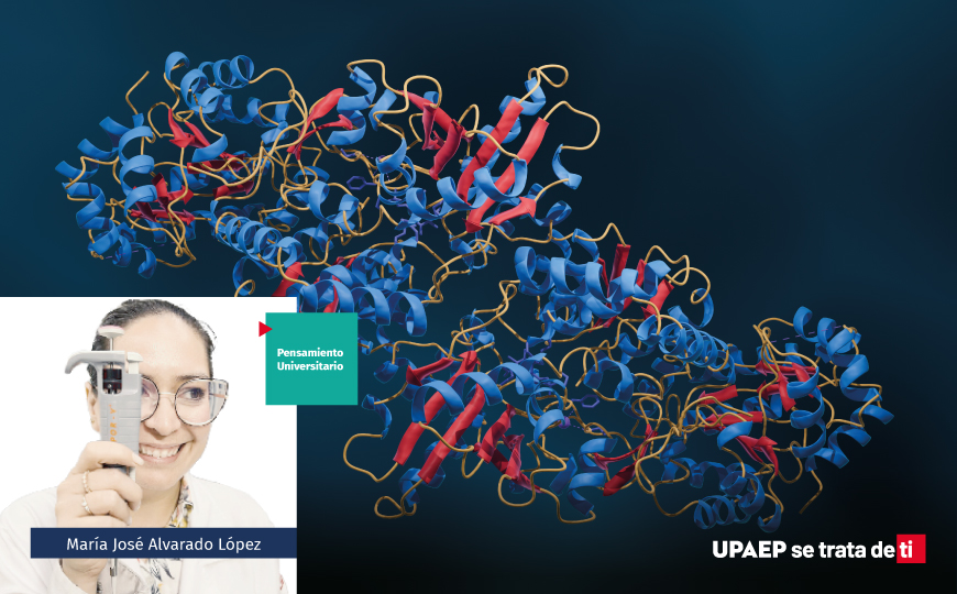 Enzimología parte 1. La vida necesita catalizadores 