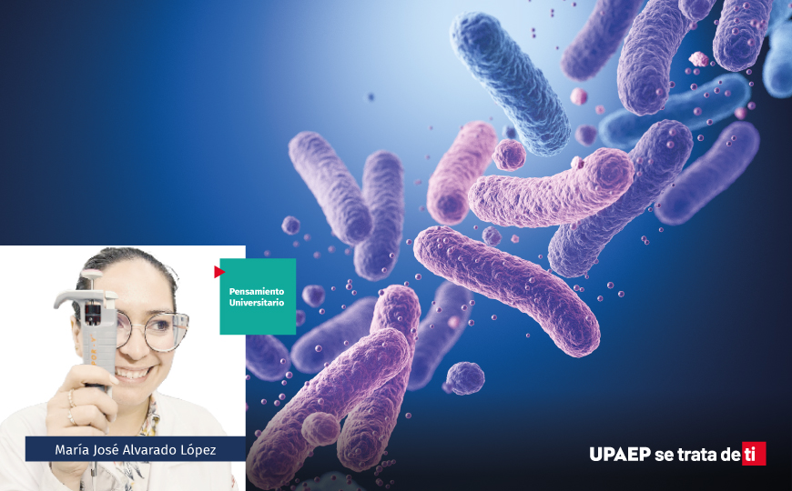 Modo simbiótico, parte 4: Nunca hemos sido uno solo 