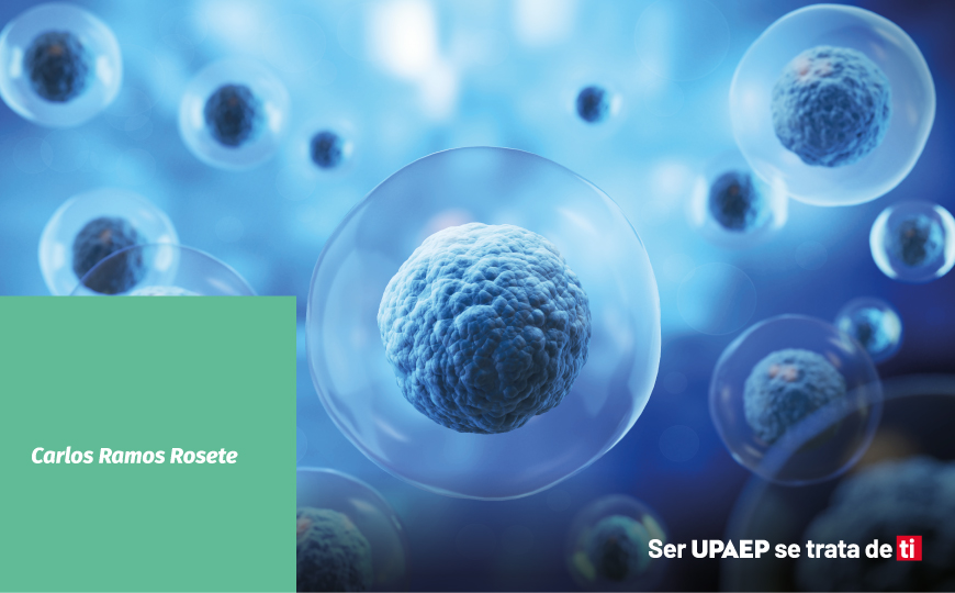 El actor de Superman, las células madre embrionarias y bioética