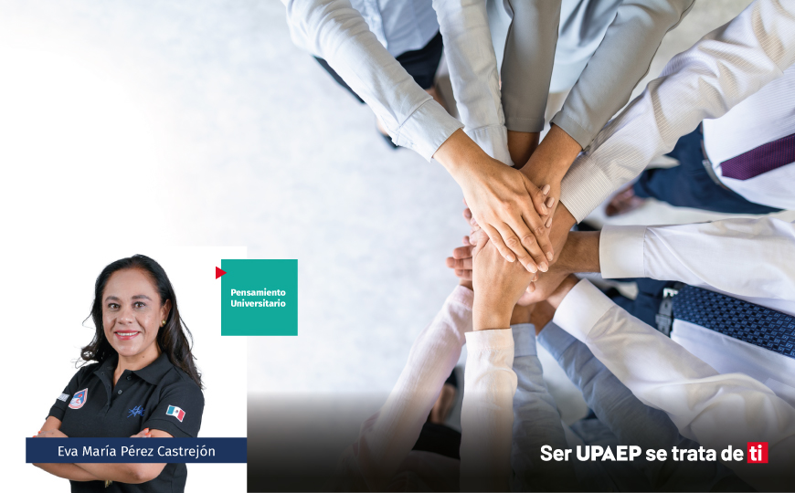 La organización como texto: comprender vínculos y mentalidades