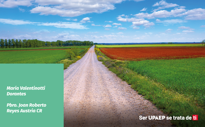 Comunidad en movimiento: el aprendizaje al caminar juntos en el Camino de Santiago