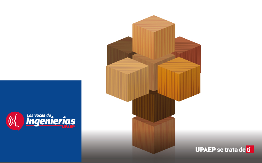Las Voces de Ingenierías: Matemática, mística y arte en el Corpus Hypercubus 