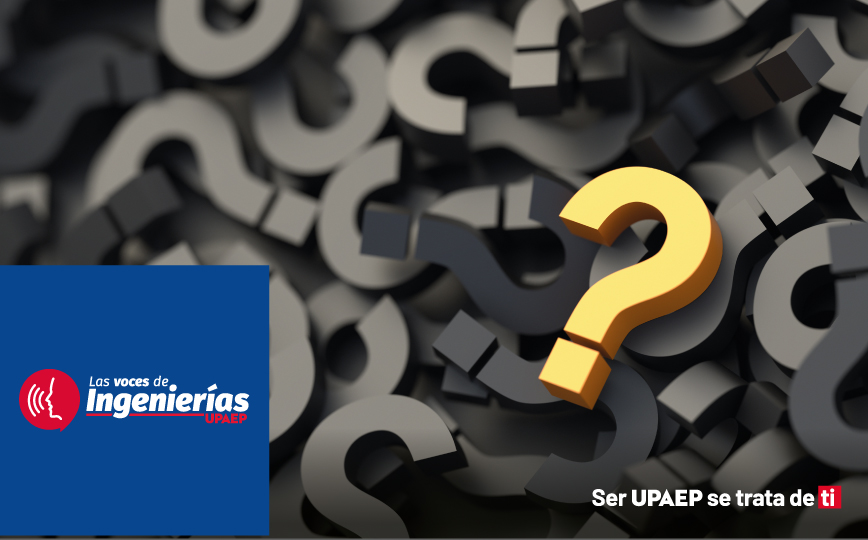 El gato de Schrödinger, cuando la física se vuelve un acertijo 